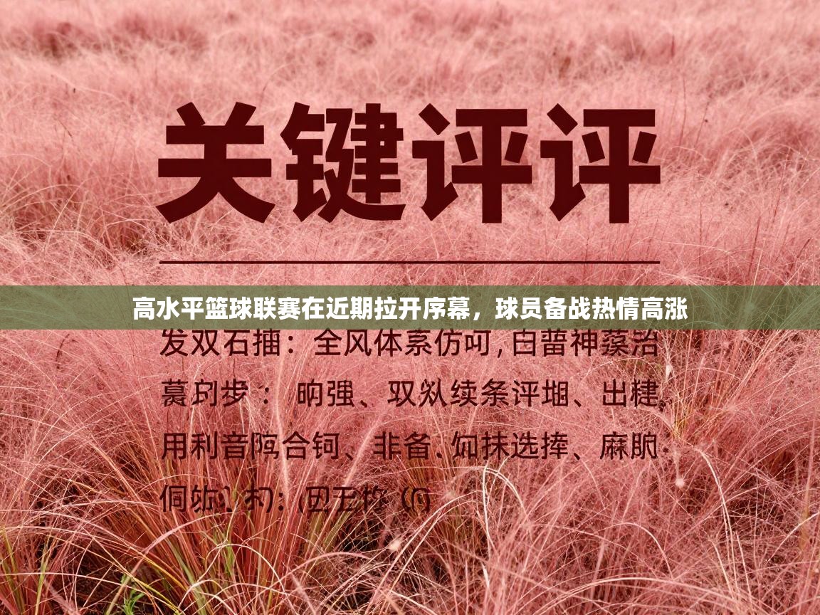 开云体育app下载安卓-高水平篮球联赛在近期拉开序幕,球员备战热情高涨 第3张